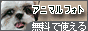 �����ʐ^�@�A�j�}���t�H�g